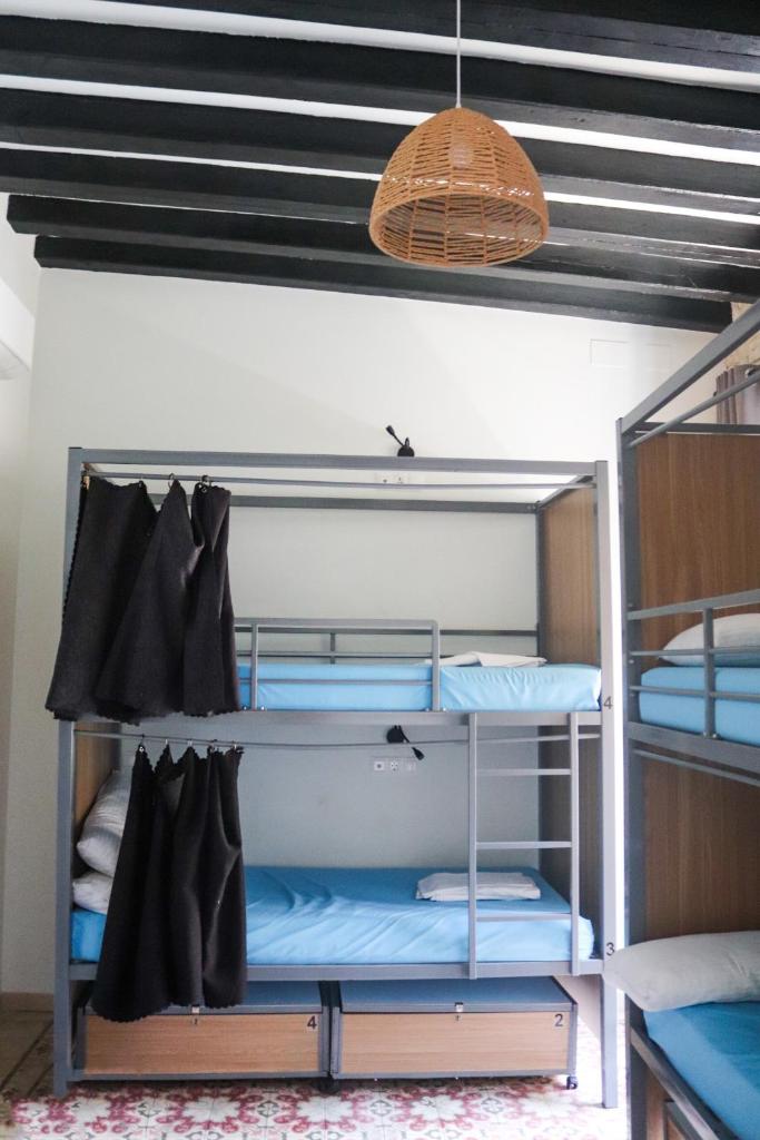 Ibarra Hostel photo 3
