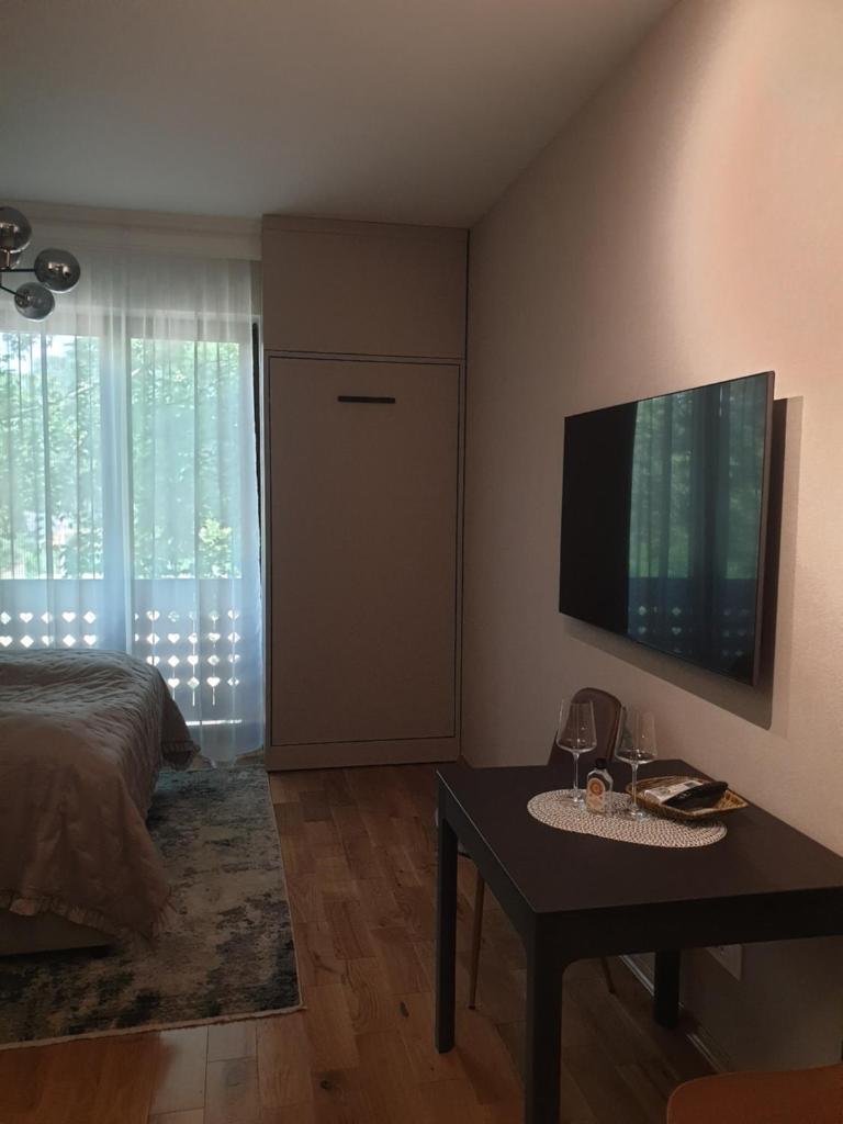 Guest House Vila Lujza photo 2