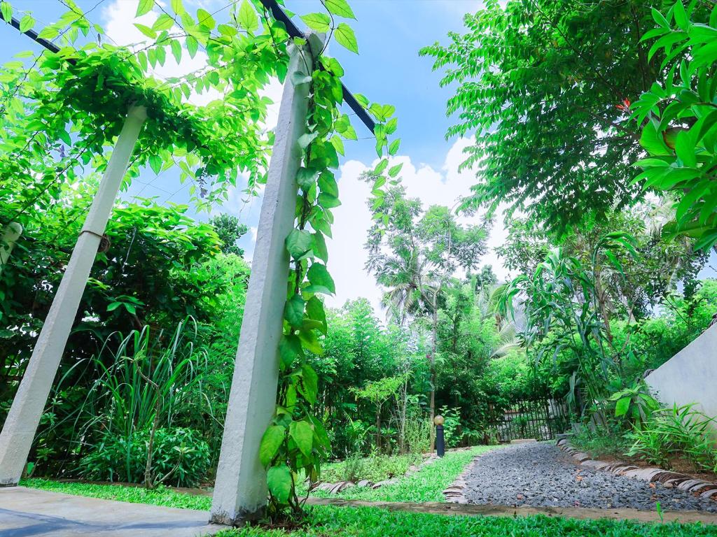 Terrace Garden Ayurveda Resort photo 4