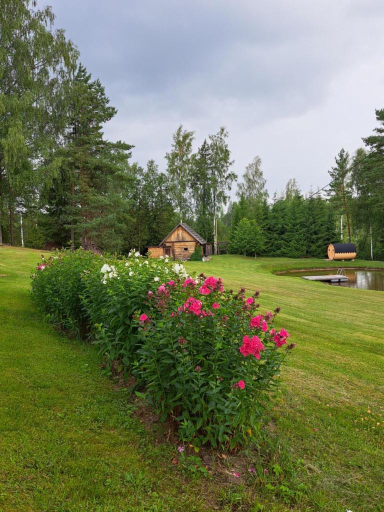 Kõrgemäe puhketalu photo 1