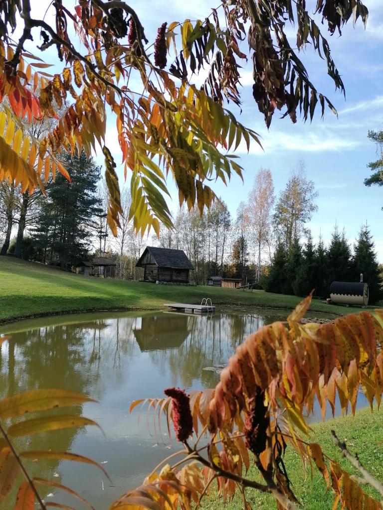 Kõrgemäe puhketalu photo 3
