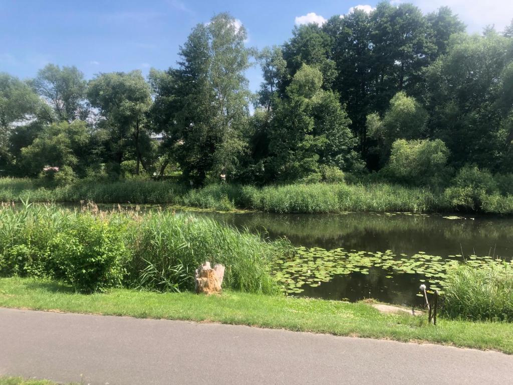 Haus am Finowkanal photo 3