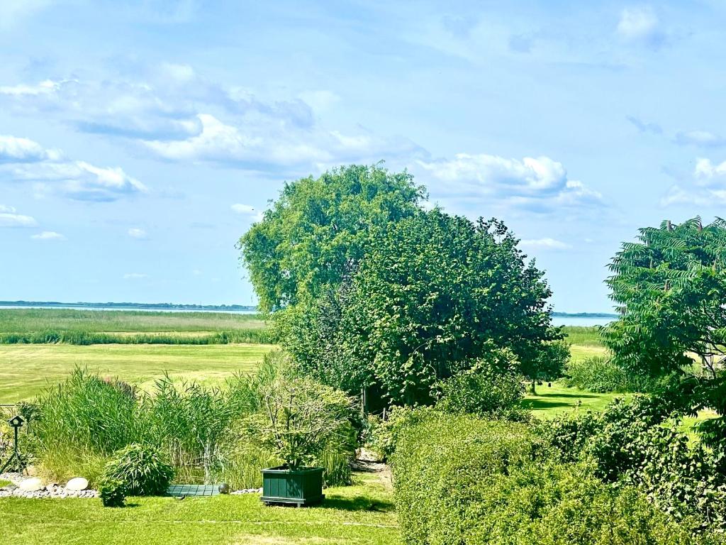 Bungalow Seeblick Am Achterwasser photo 1