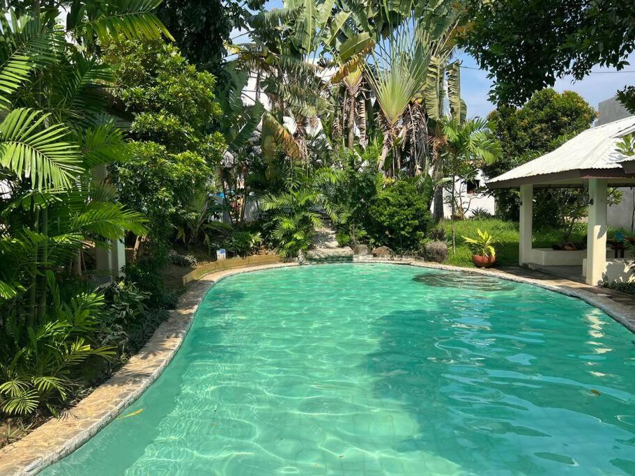 Elegantly Presented Spacious 3 Bedroom House photo 3