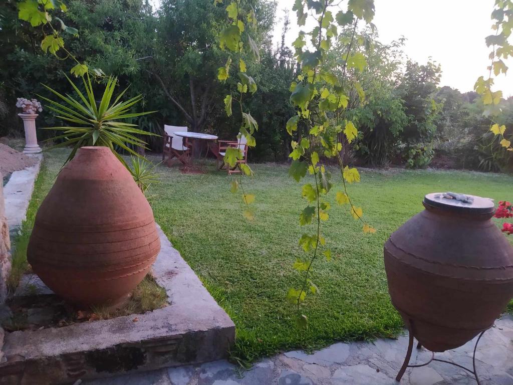 Garden House KRISTI photo 4