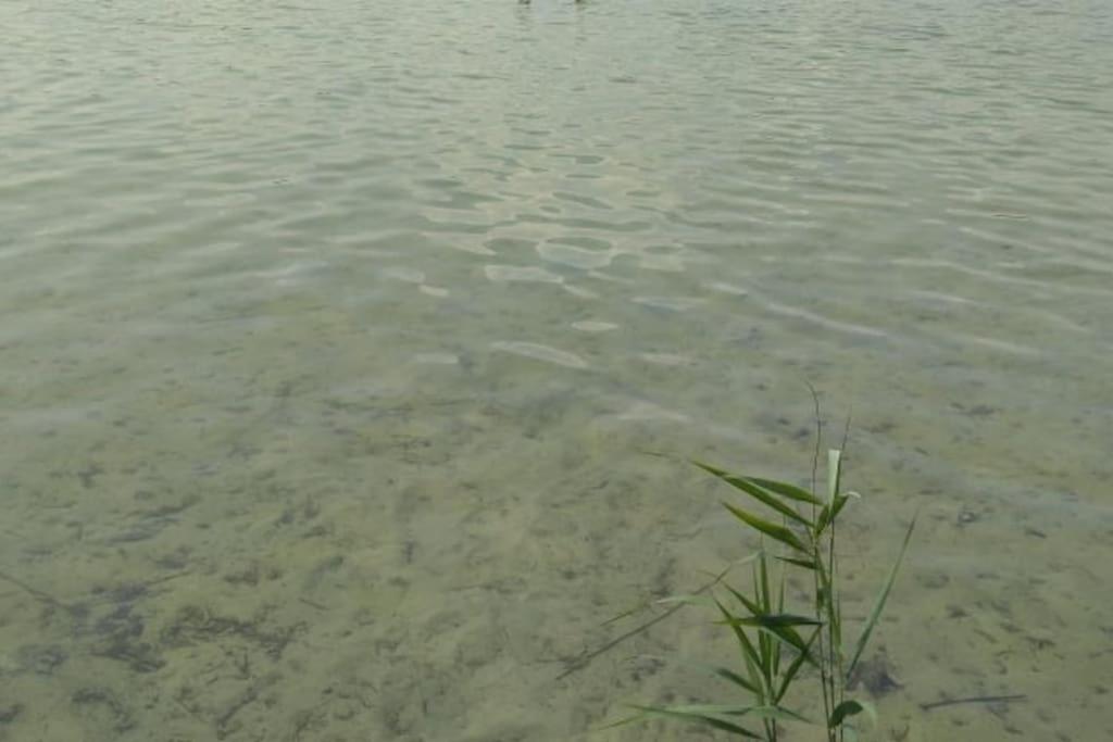 Domek nad jeziorem - Białka photo 2