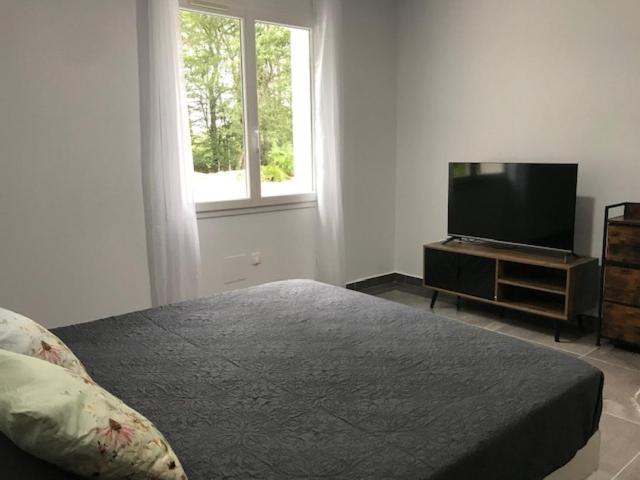 VILLA DES PINS photo 4