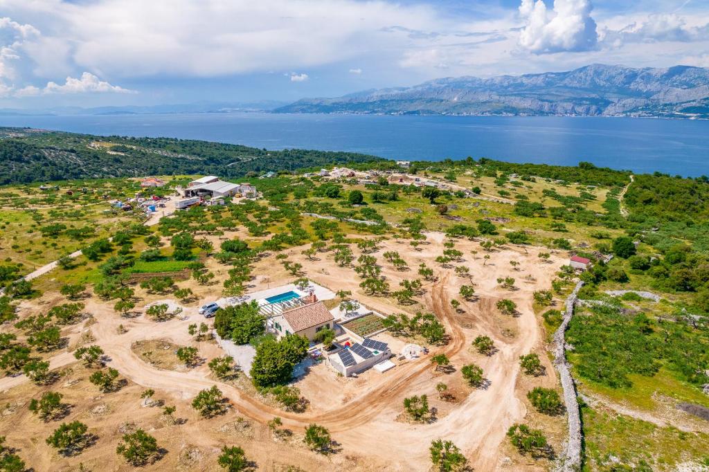 House Bracuta photo 1