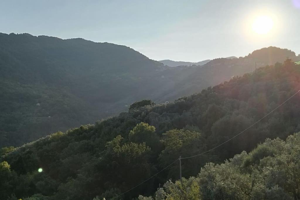 Da Lilli - un angolo di paradiso nel verde photo 2