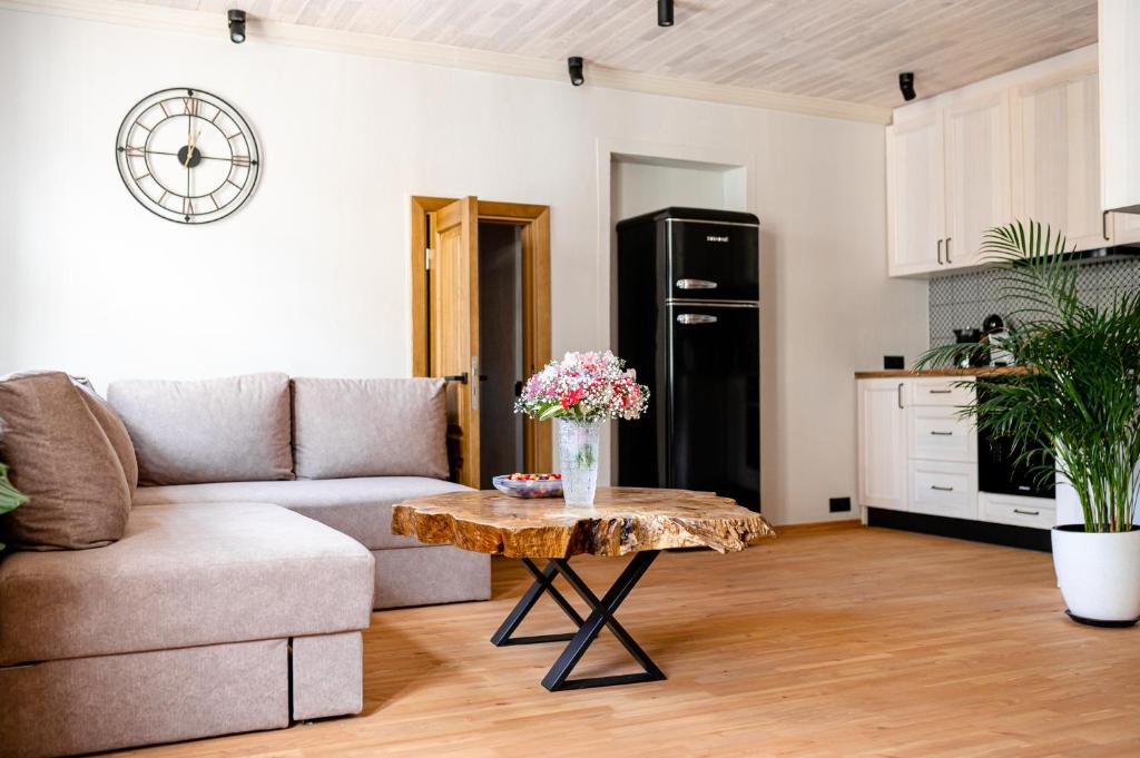 Boutique apartment Mezrozite