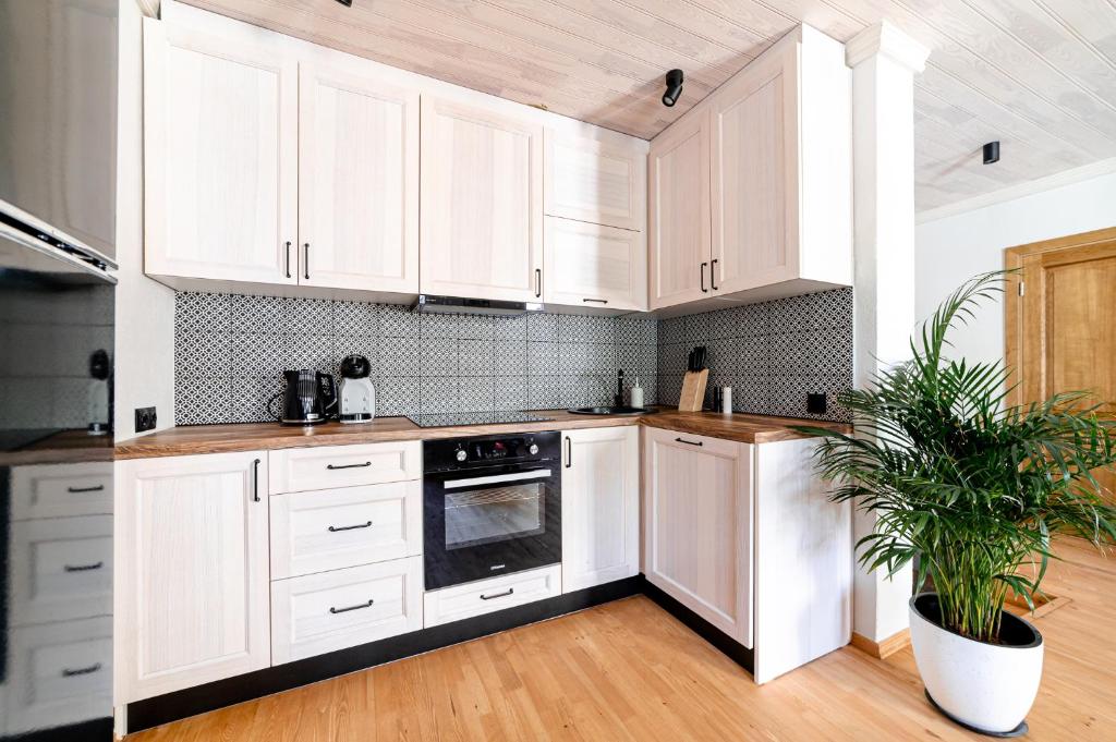 Boutique apartment Mezrozite photo 4