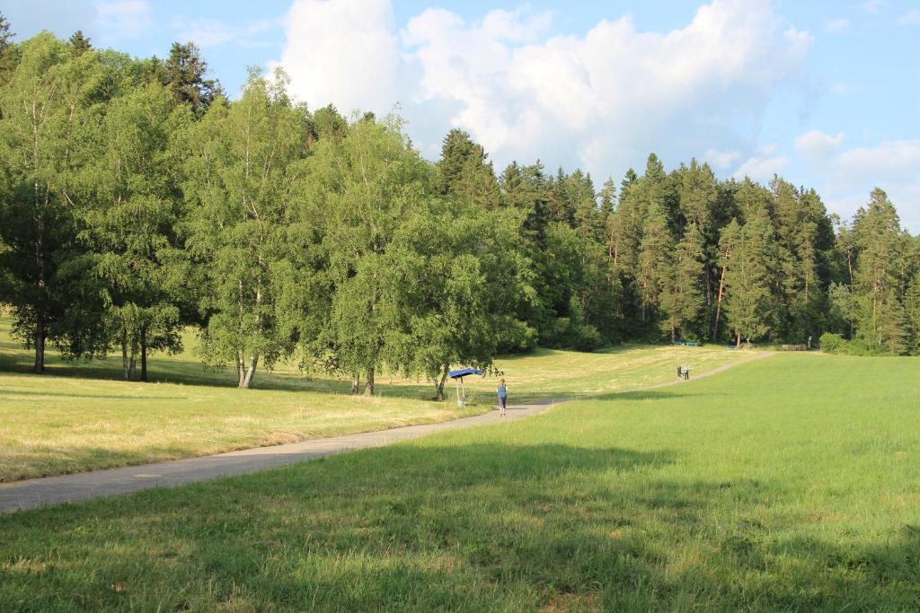 Kapfwald Appartements photo 4