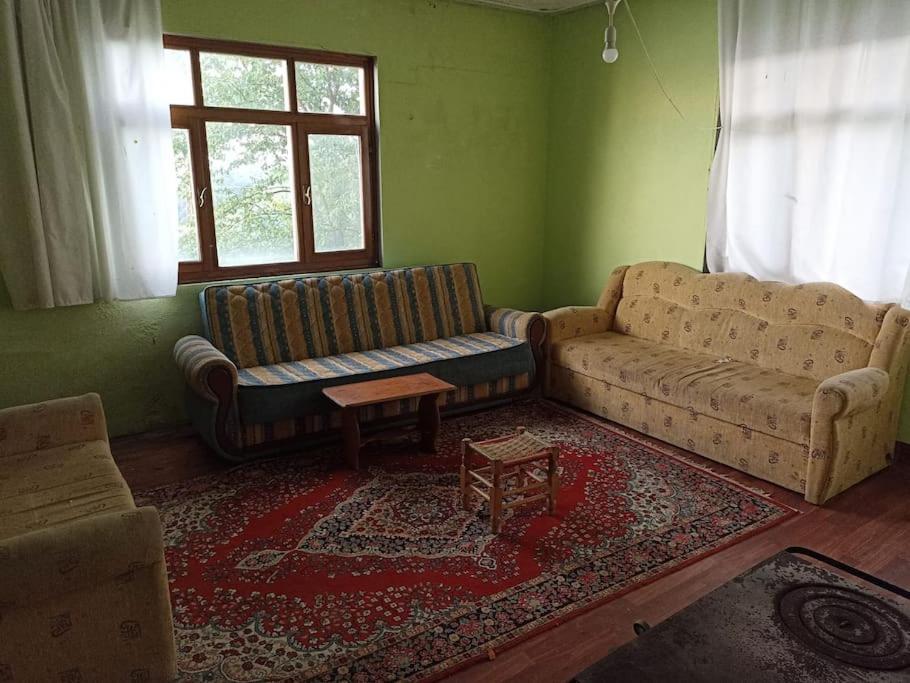 Deniz ve Doğa Manzaralı photo 2