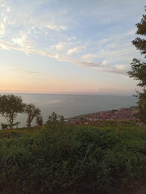 Deniz ve Doğa Manzaralı photo 4