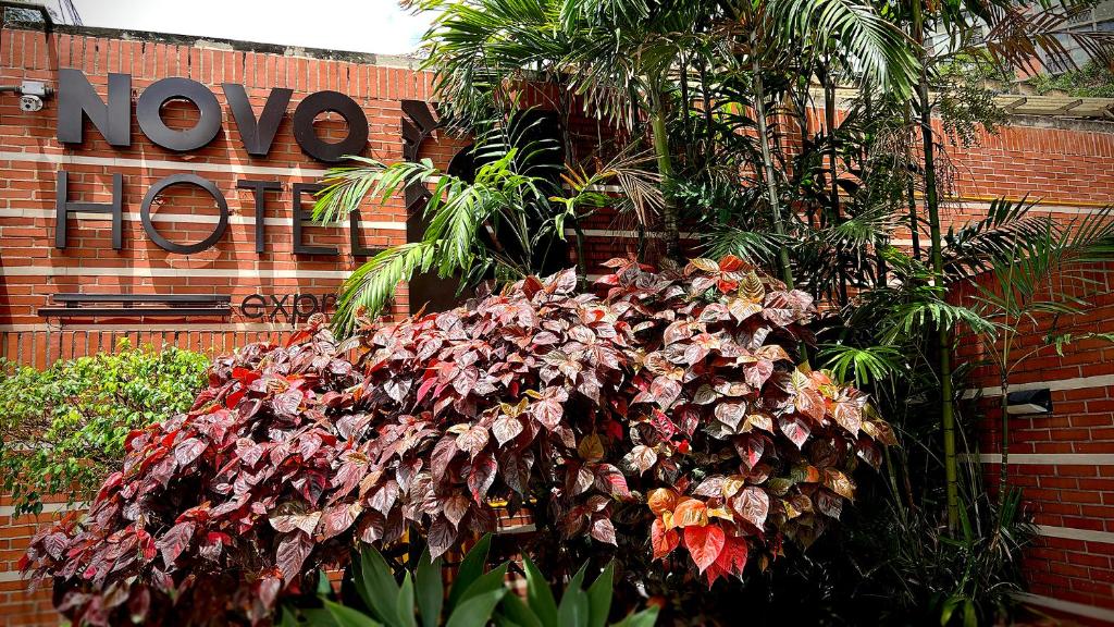 Novo Hotel photo 1