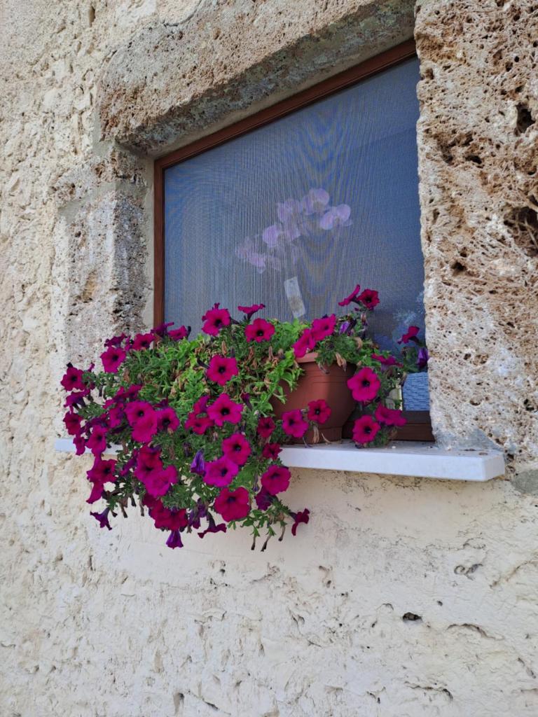 Agriturismo Pavoni photo 3