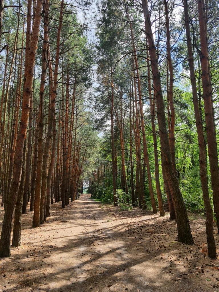 Cisarska sadyba photo 3