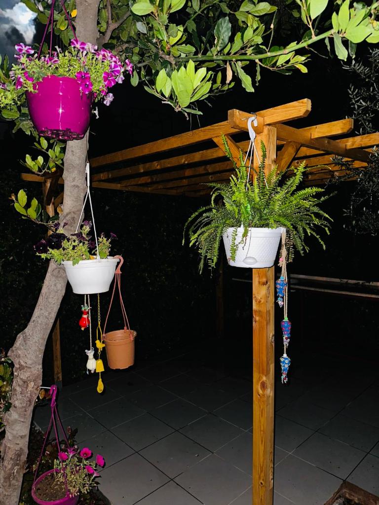 Villaras Garden özel havuzlu eşyalı photo 3