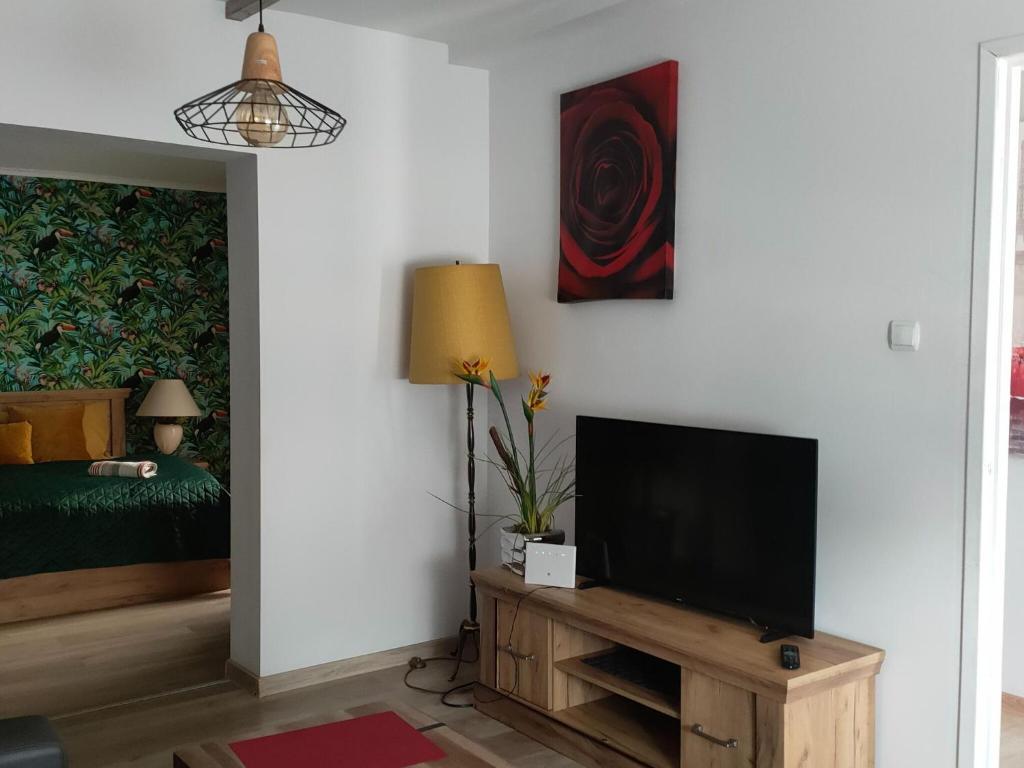 Semi-detached house, Stepnica photo 3