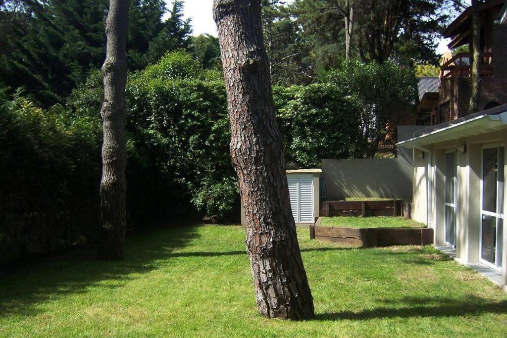 Casa en Pinamar Alquiler photo 2