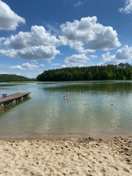 Kaszuby Sominy Domki Na Wczasowej photo 3