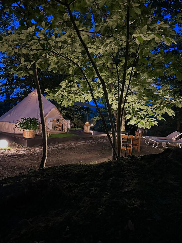 Il Bosco di Paolo - Glamping photo 4
