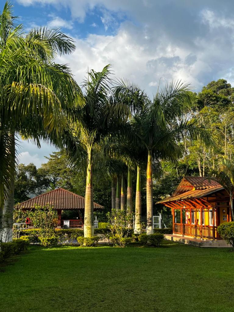 Hotel Casa Confort photo 3