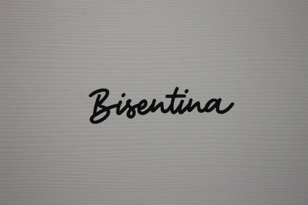 Like Lake Bisentina photo 2