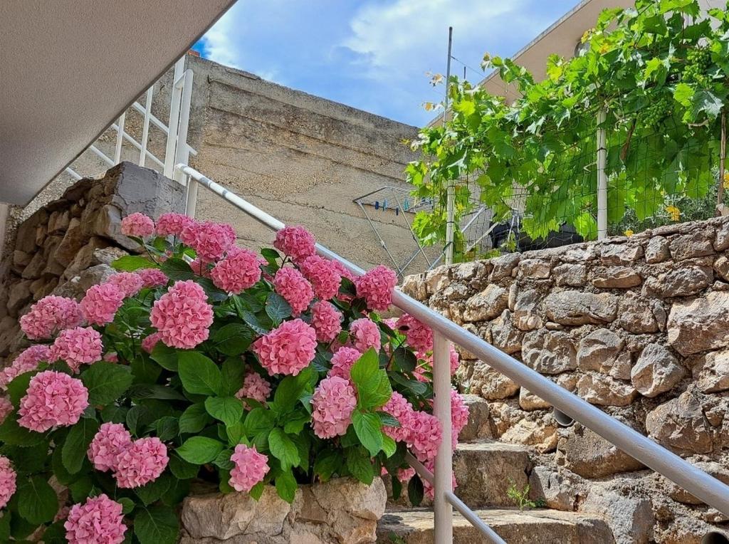 Seaside holiday house Igrane, Makarska - 21577 photo 4