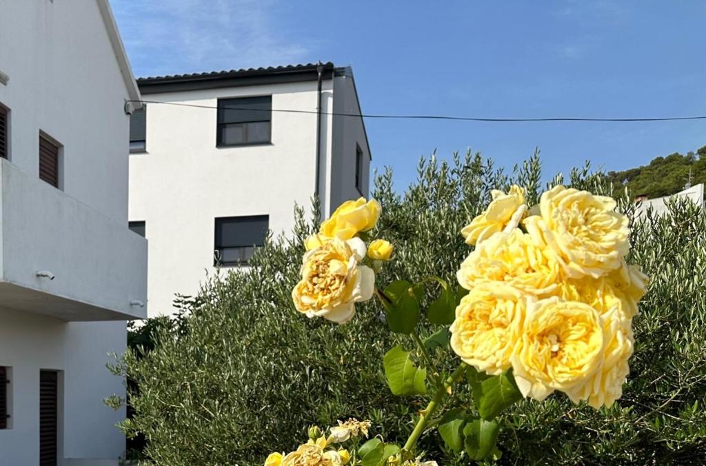 Apartman Mrgic photo 3
