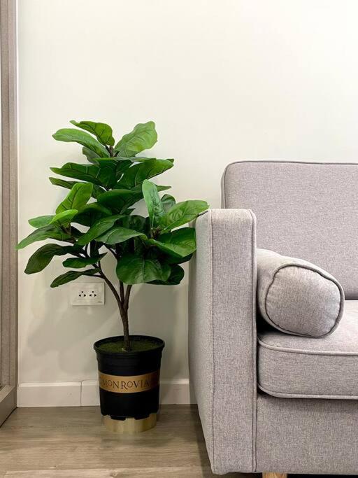 Căn hộ nghỉ dưỡng full tiện ích - Vinhome Smart City