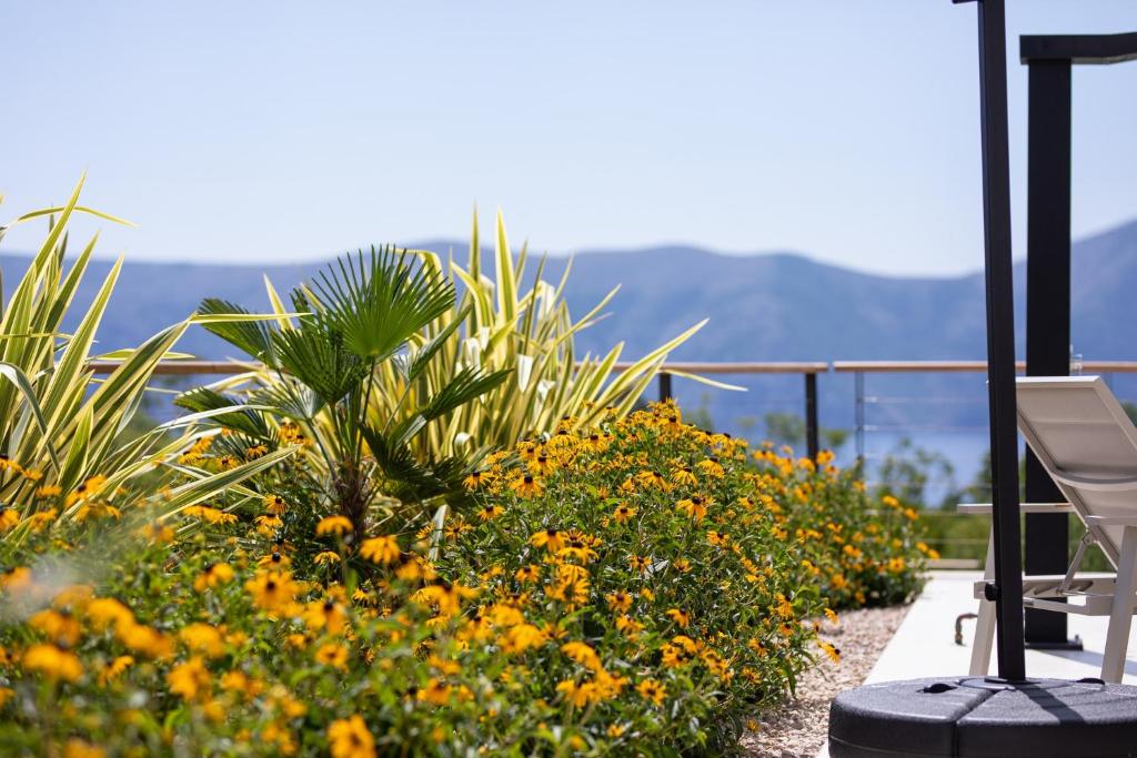 Villa Olive Garden photo 4