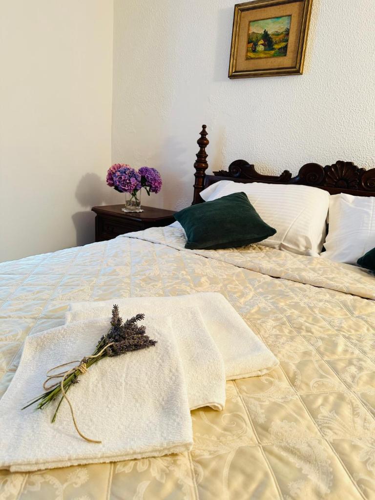 Casa Voje photo 2