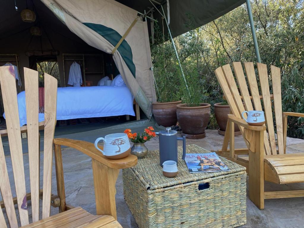 Echoes of Eden: River Retreat photo 4