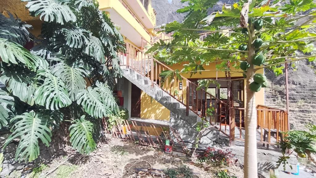 Casa Cavoquinho photo 2