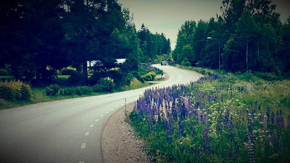 Fin stuga nära sjö photo 2