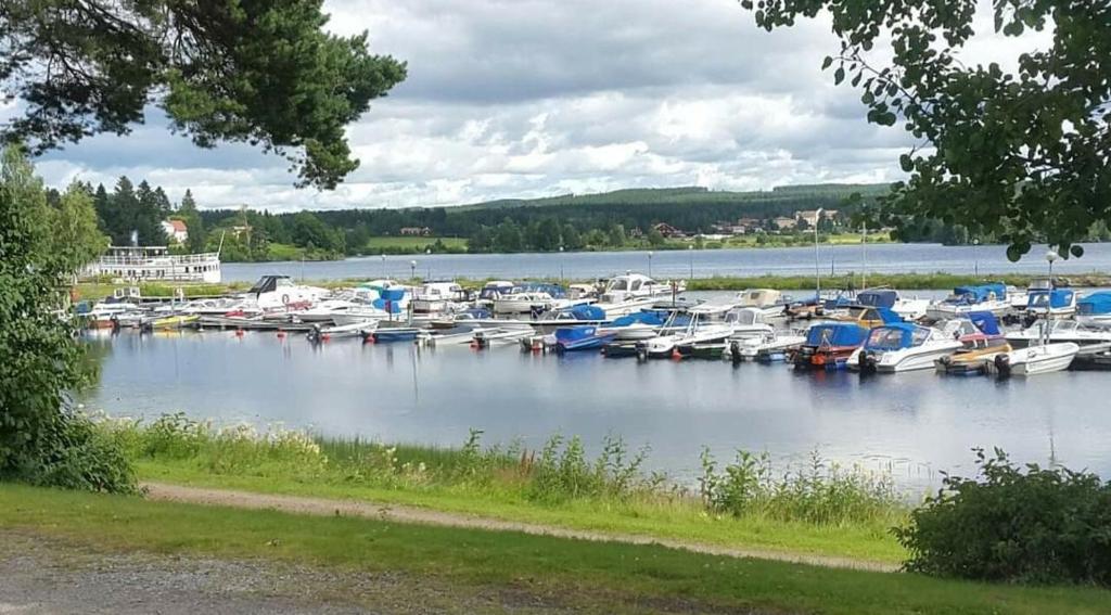 Fin stuga nära sjö photo 3