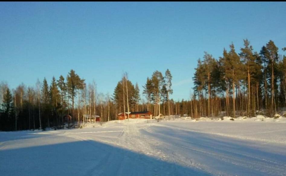 Fin stuga nära sjö photo 4