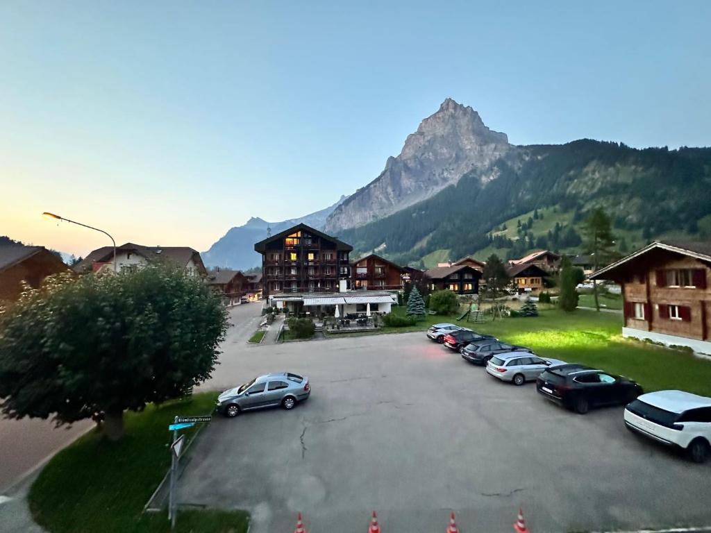 Alpina Appartment 2 photo 3
