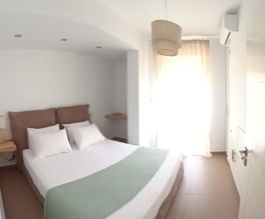Aloe Apartment in Epidaurus photo 4