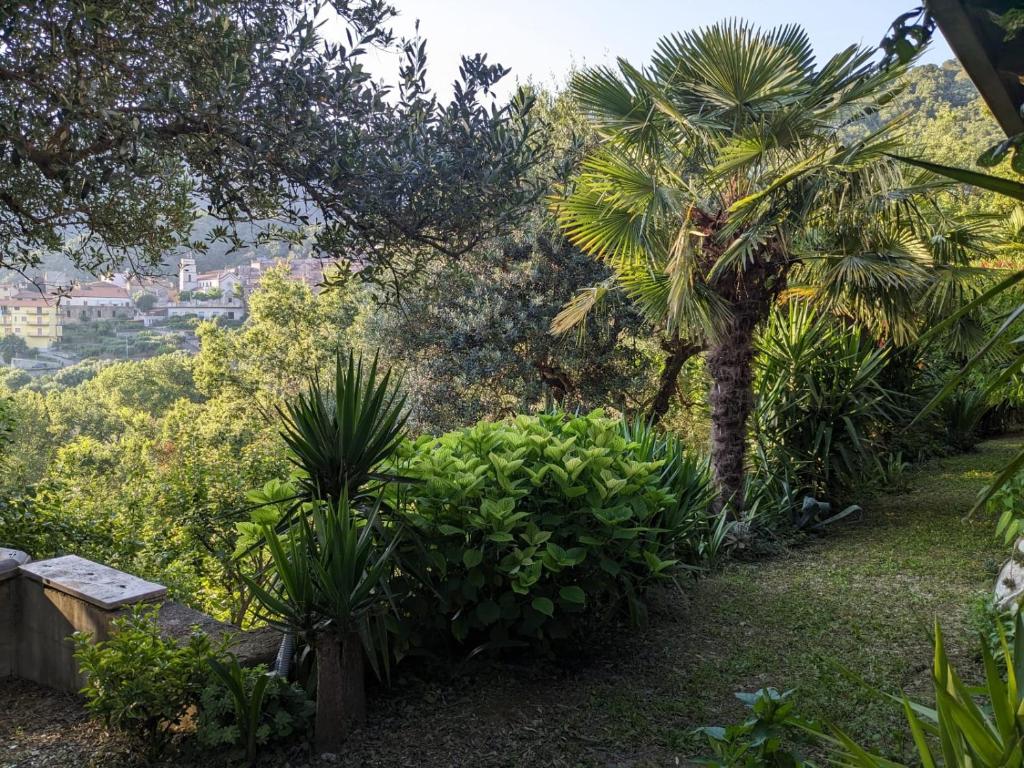 La Casa Di Lidia photo 2