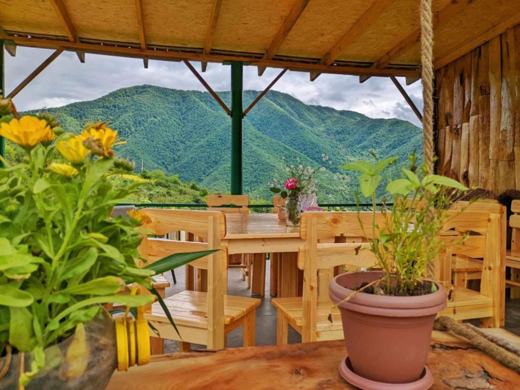 Green Camp eco-rural and civil society tourism center photo 4