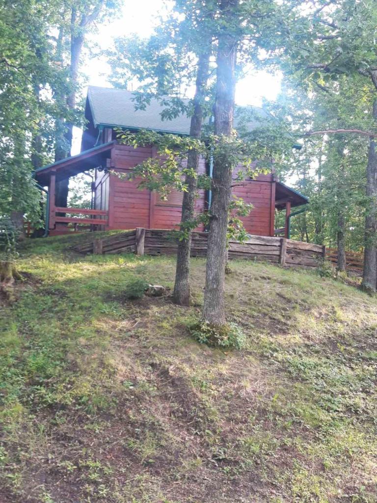 Brvnara GAJ Divčibare photo 2