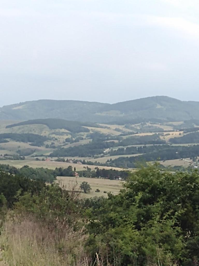 Brvnara GAJ Divčibare photo 4