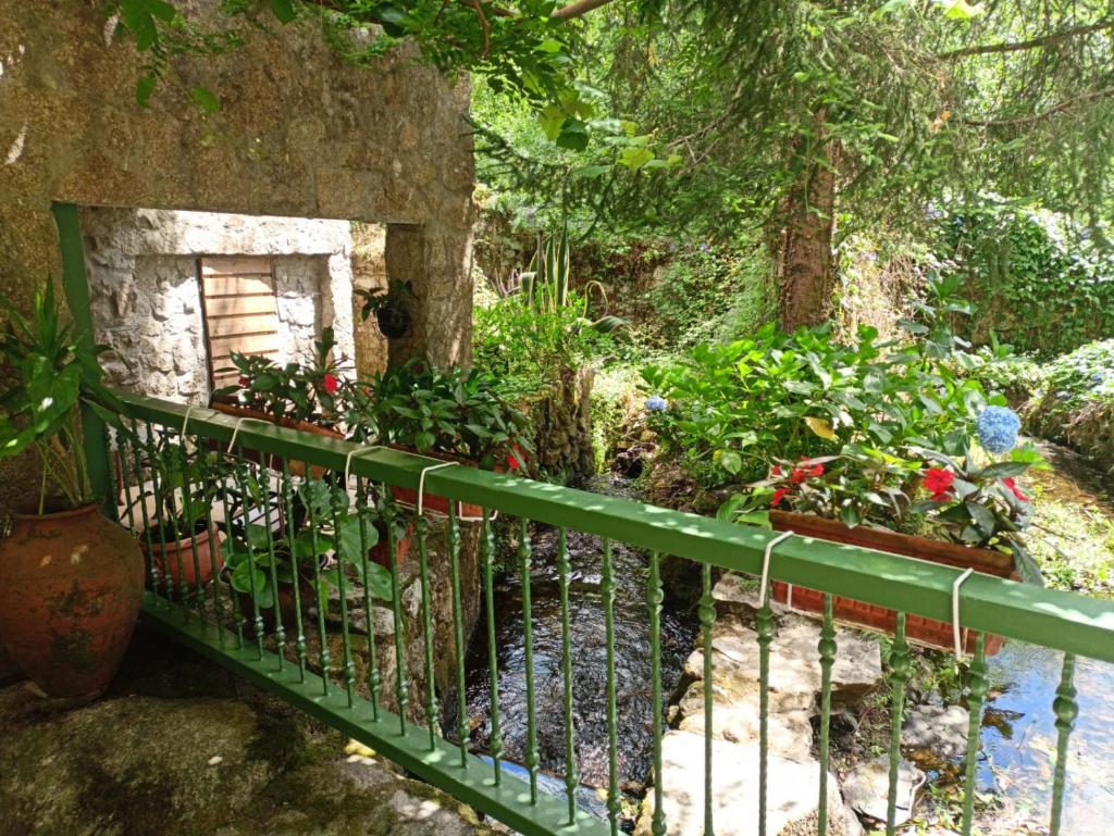 Molino cascada de caldas de reyes photo 2
