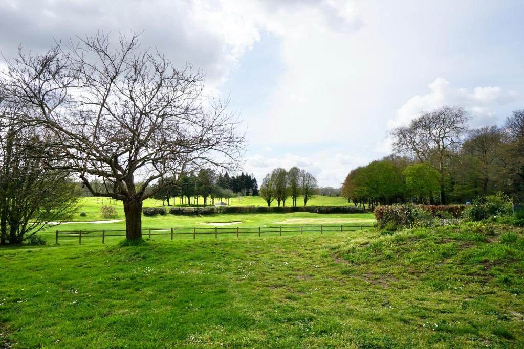 Swing *piscine*Golf* photo 2