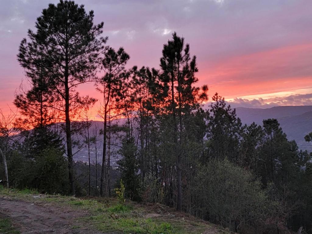 Quinta da Picouta photo 1