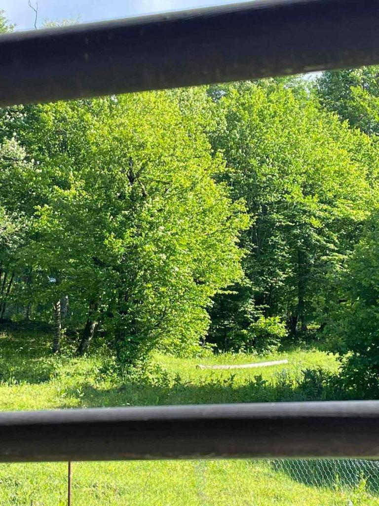 cottege of nature