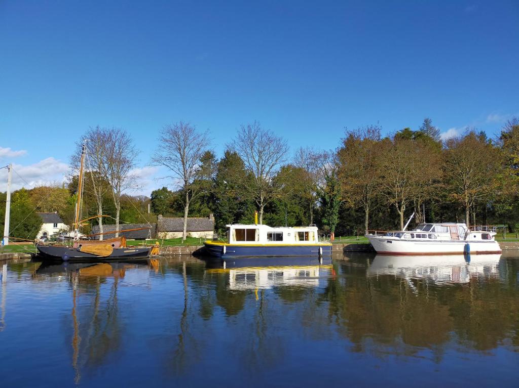 Ille Flottante, Maison éclusière et hébergements insolites sur le canal photo 1