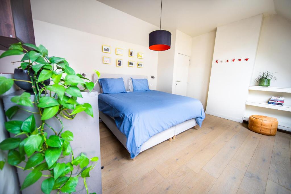 Casa Mina - Dok Noord Ghent photo 1